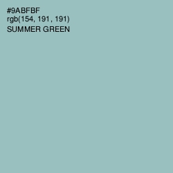#9ABFBF - Summer Green Color Image